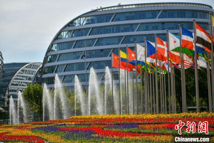 第五屆進(jìn)博會(huì)場(chǎng)館景觀裝飾全面定妝。　陳夢(mèng)澤 攝